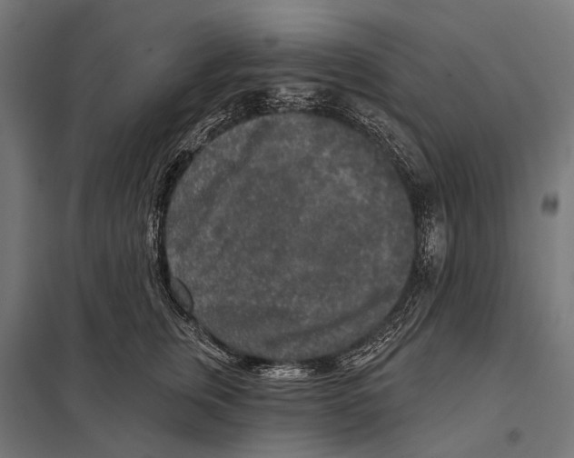 X0000097610759200803281013