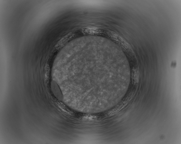 X0000097610760200803281013