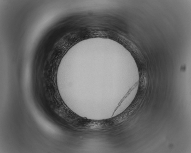 X0000097610764200803281013