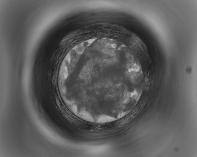 X0000097610765200803281013