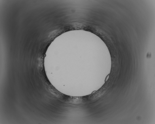 X0000097610768200803281014