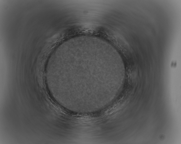 X0000097610769200803281013