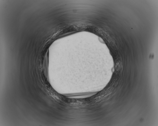 X0000097610772200803281013