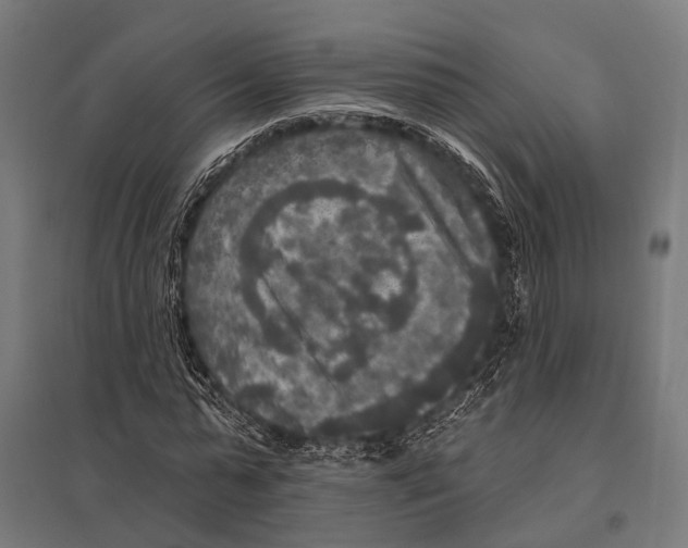 X0000097610775200803281013