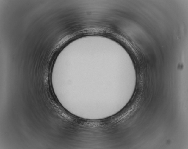 X0000097610778200803281013