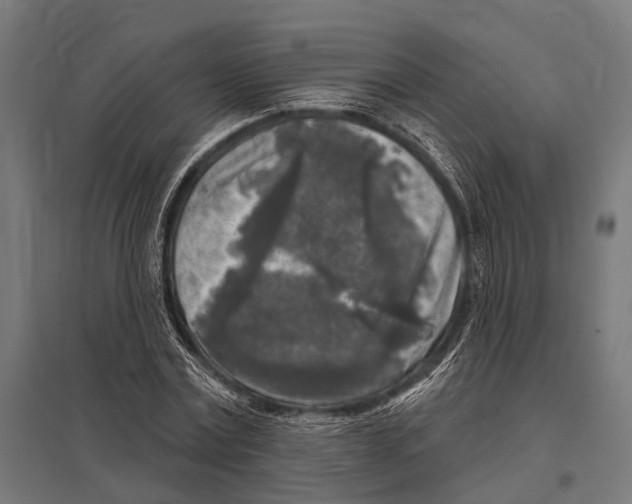 X0000097610779200803281013