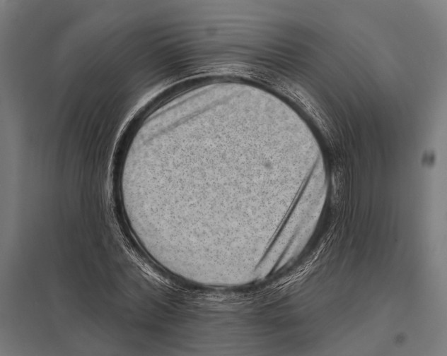 X0000097610780200803281013