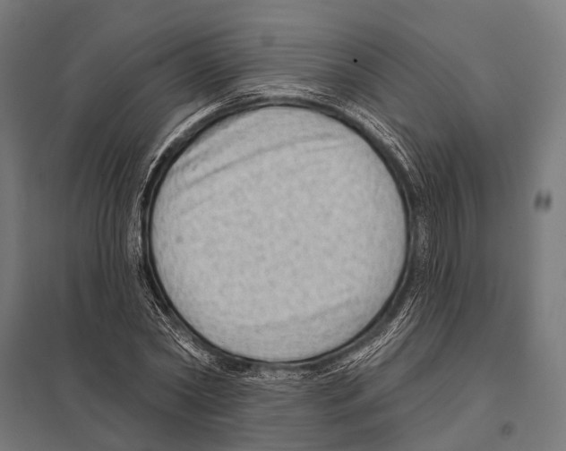 X0000097610782200803281013