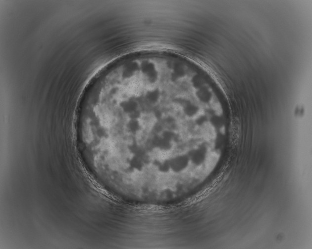 X0000097610783200803281013