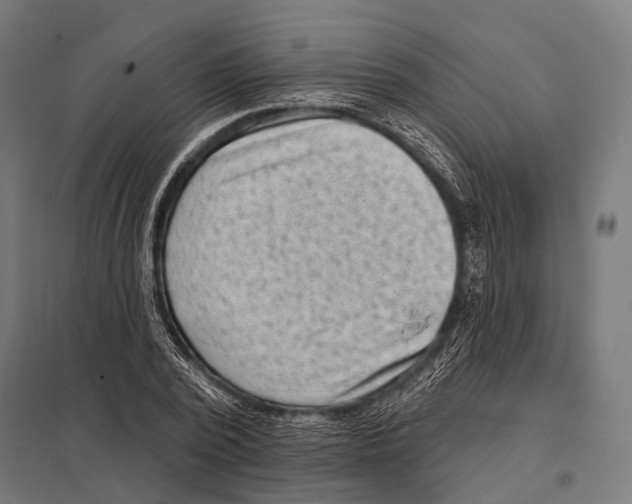 X0000097610784200803281013