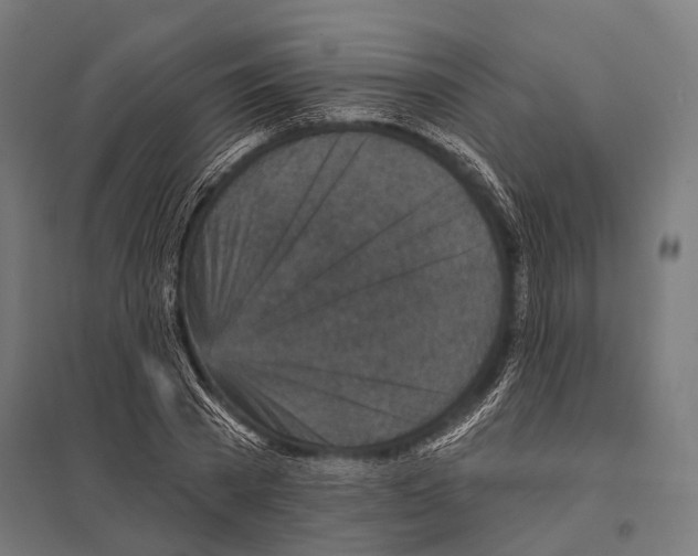 X0000097610785200803281013