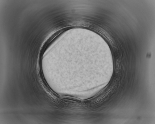 X0000097610788200803281013