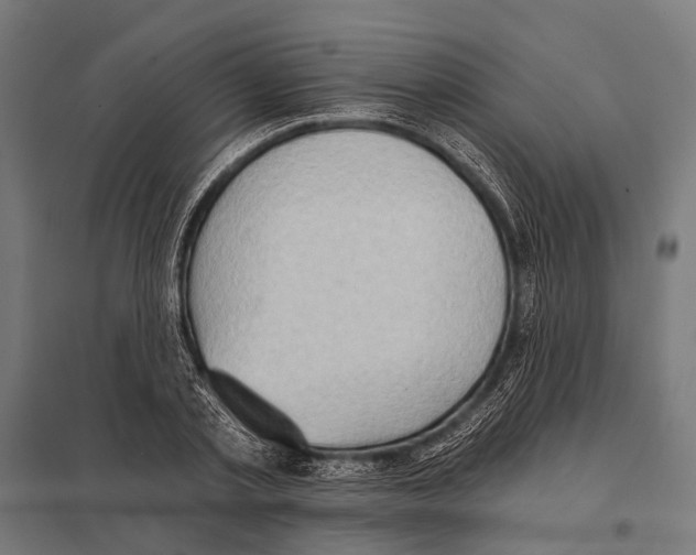 X0000097610789200803281013