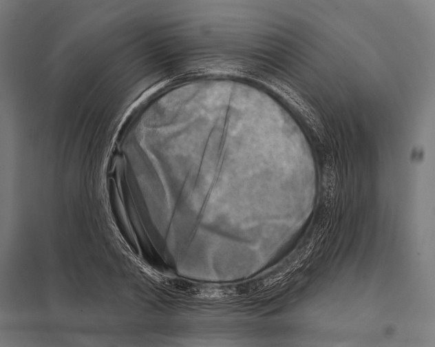 X0000097610790200803281013