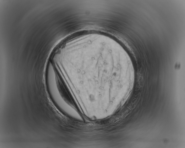 X0000097610791200803281013