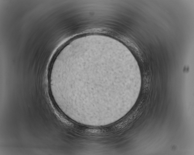 X0000097610792200803281013