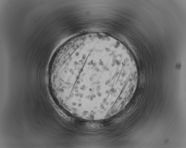 X0000097610795200803281013