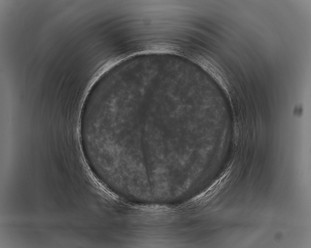 X0000097610797200803281012