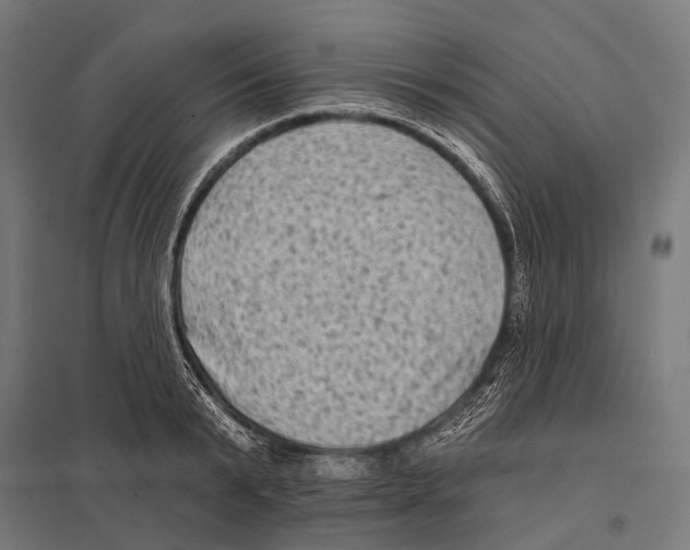 X0000097610799200803281012