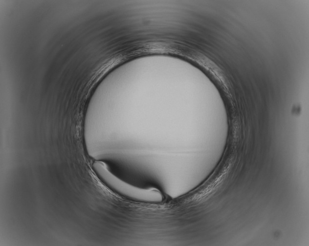 X0000097610801200803281012