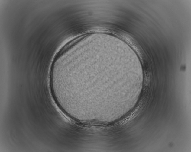 X0000097610803200803281012