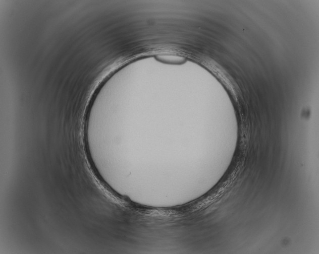 X0000097610805200803281012