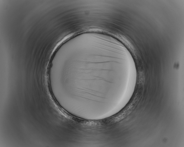 X0000097610806200803281012