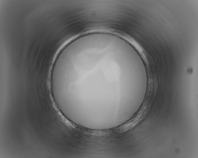 X0000097610807200803281012