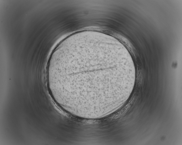 X0000097610808200803281012