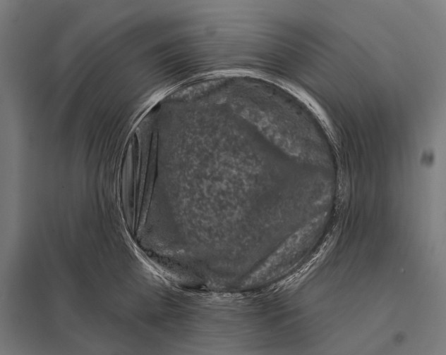 X0000097610809200803281012