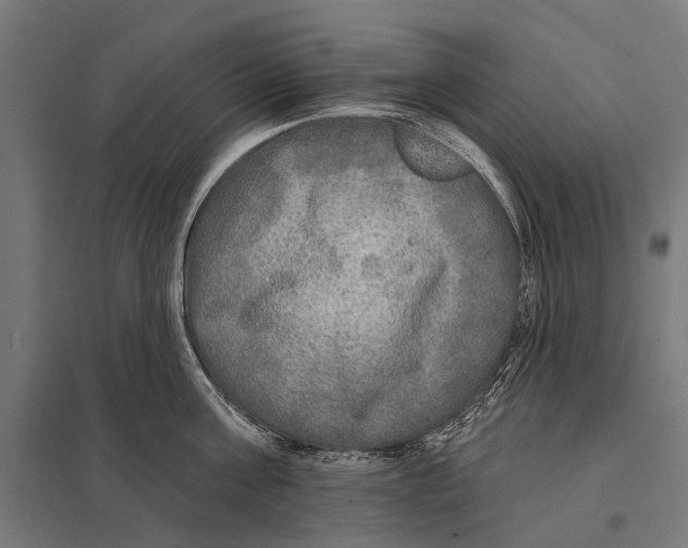 X0000097610811200803281012