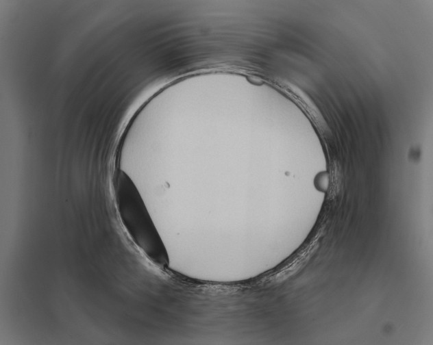 X0000097610812200803281012