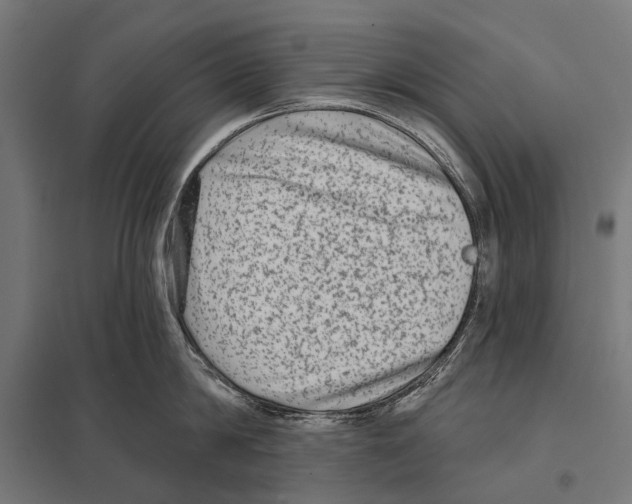 X0000097610814200803281012