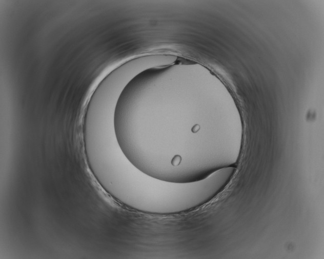 X0000097610816200803281012