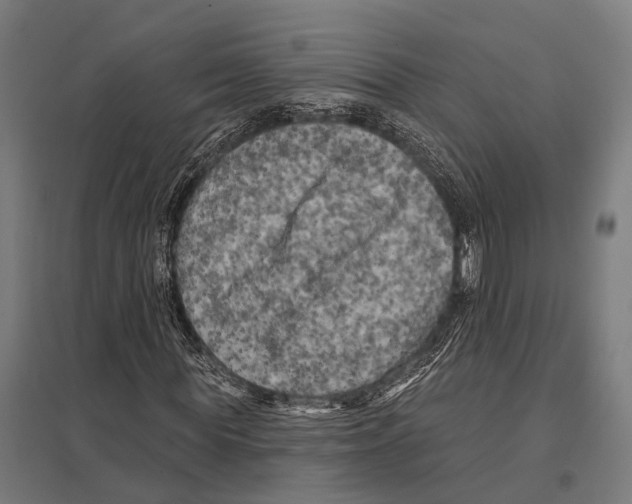 X0000097610819200803281012