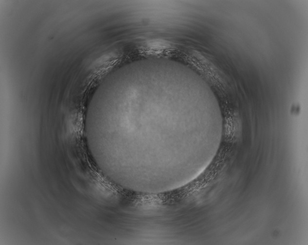 X0000097610820200803281012