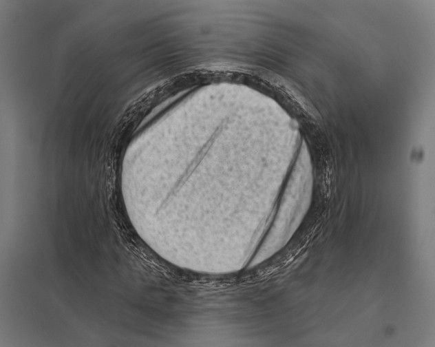 X0000097610821200803281012