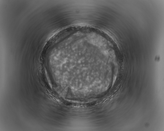 X0000097610823200803281012