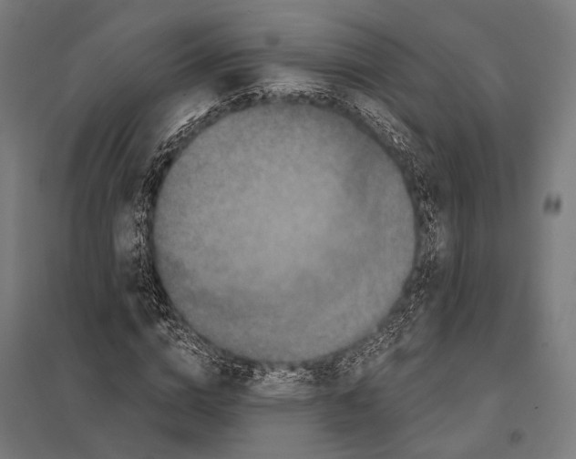 X0000097610824200803281012