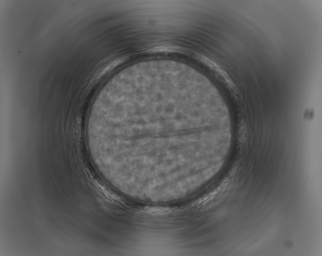 X0000097610825200803281012