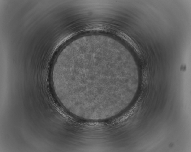 X0000097610826200803281012