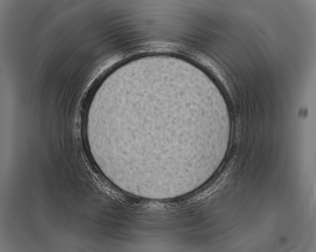 X0000097610827200803281012