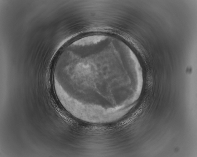 X0000097610830200803281012