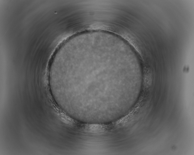 X0000097610832200803281012