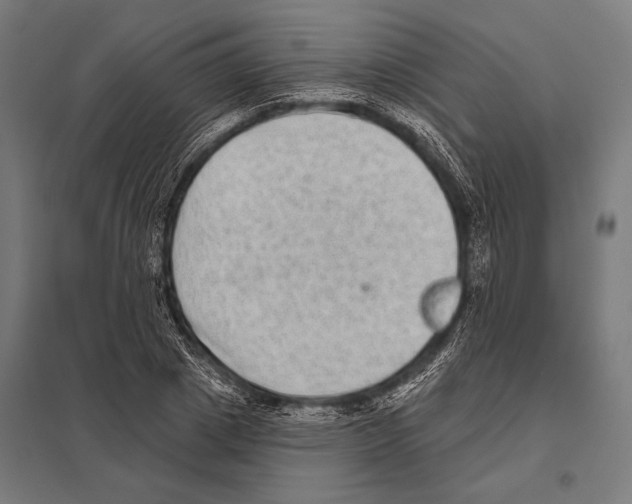 X0000097610833200803281012