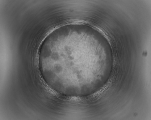 X0000097610835200803281012