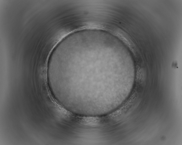 X0000097610836200803281012