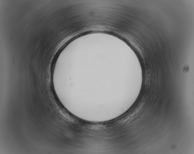 X0000097610837200803281012