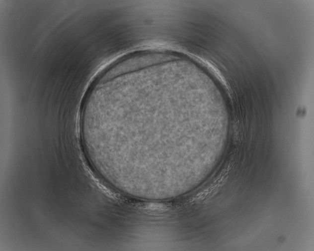 X0000097610839200803281012