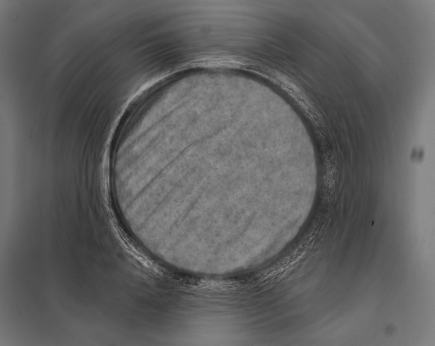 X0000097610840200803281012